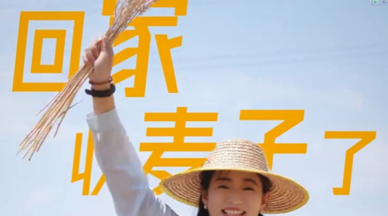 风吹麦浪一线行 | 邯郸“高标准农田”唱响丰收进行曲