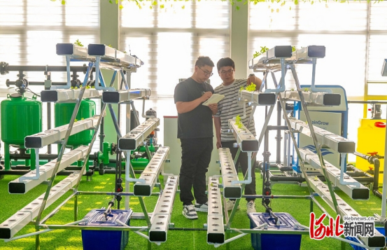 促进民营经济高质量发展·超能量的“中小微” 把中国“新农具”卖到海外