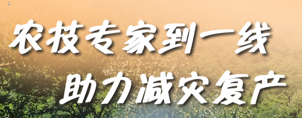 百姓看联播丨农技专家到一线助力减灾复产
