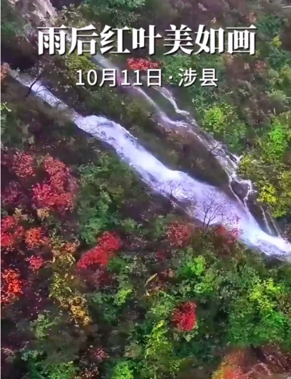 20251017151824.png image.png