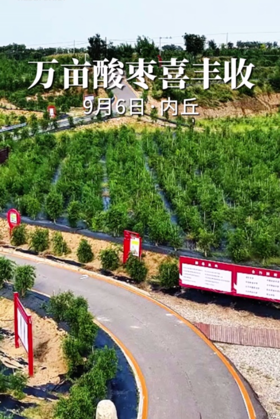 20251017339587.png image.png