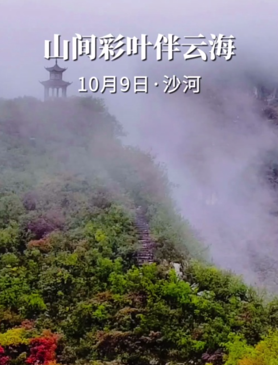 20251017370308.png image.png