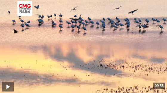 20251028399089.png image.png