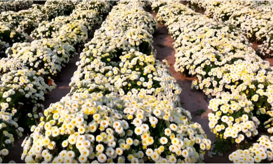 20251029603667.png image.png