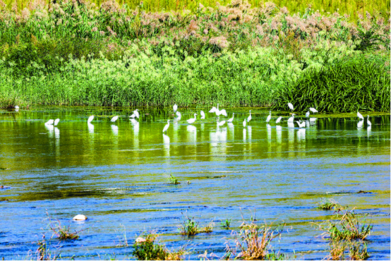 20251102914637.png image.png