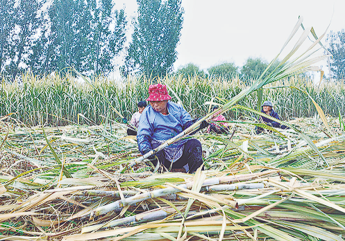 20251116256529.png image.png