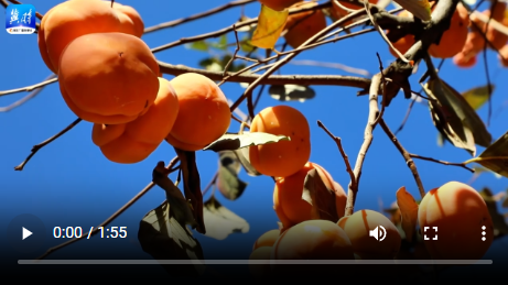 20251118610608.png image.png