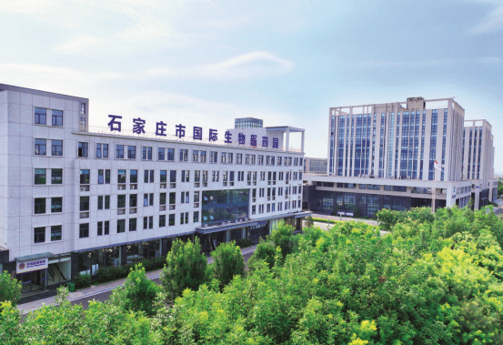 铿锵逐梦绽芳华——石家庄市全力推动经济高质量发展综述