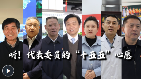 微视频丨听！代表委员的“十五五”心愿