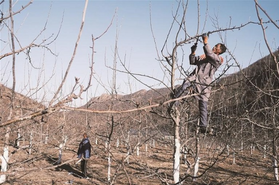 20260415315250.png image.png